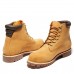 Мужские ботинки Timberland 6 in Basic Alburn Boot WP желтые